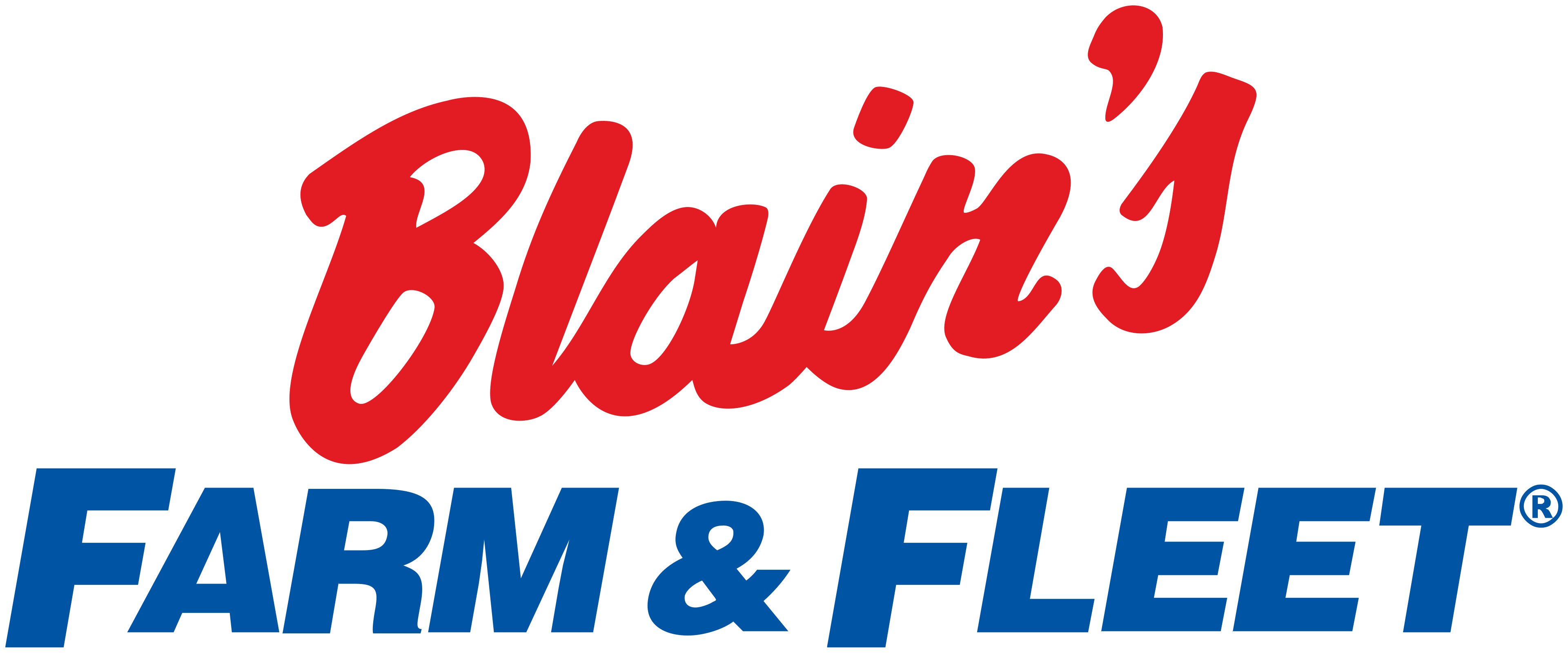 Blain's Farm & Fleet